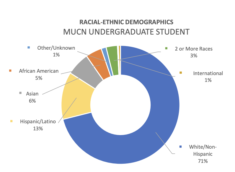 A graph showing the ethnic distribution of Marquette Nursing students.