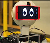 Humanoid Robot Crowdfunding