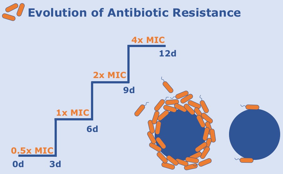 Evolution of Antibiotic Resistance