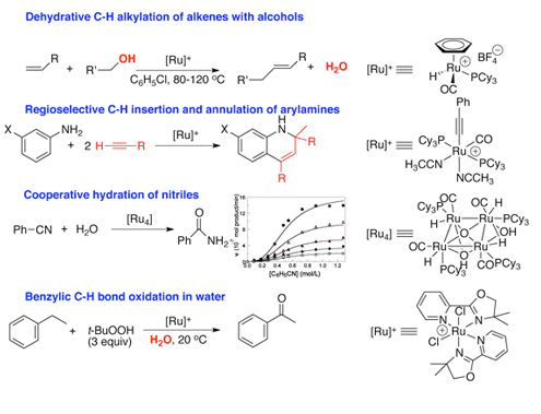 Catalytic reactions