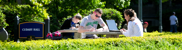 Students studying during summer