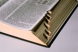 dictionary
