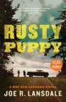 Book cover illustration for: Rusty Puppy