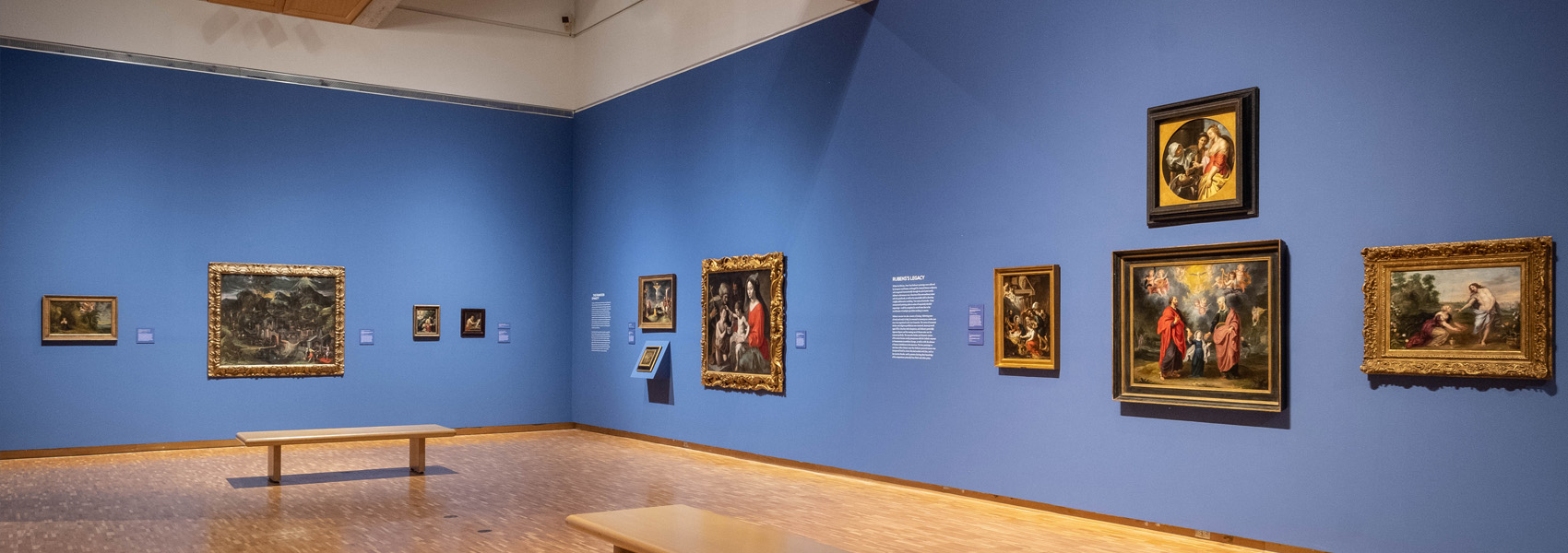 Image in Dispute: Dutch & Flemish Art from the Collection