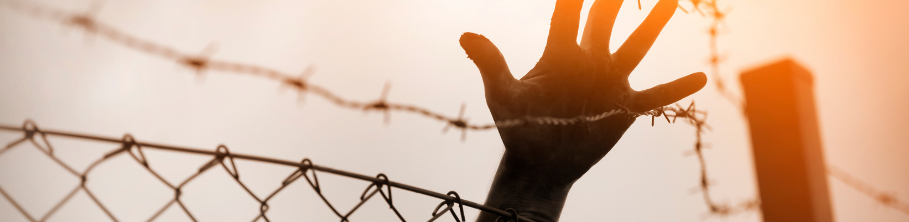 Hand reaching for help from behind barbed wire; sunlight background.