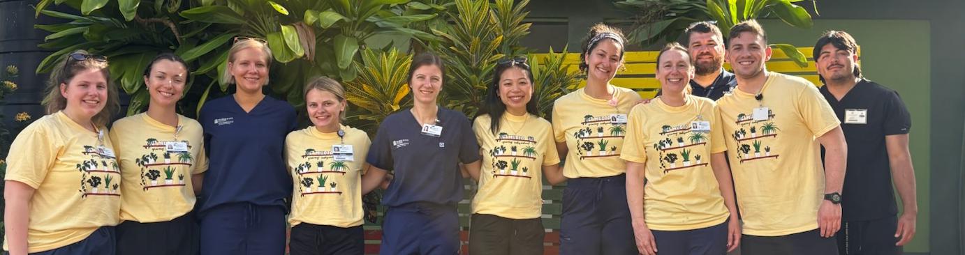 Hands-on, immersive practice while serving others