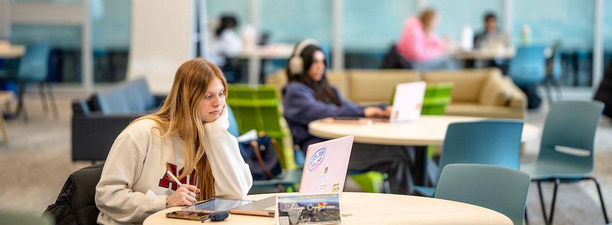 Students studying within the Lemonis Center