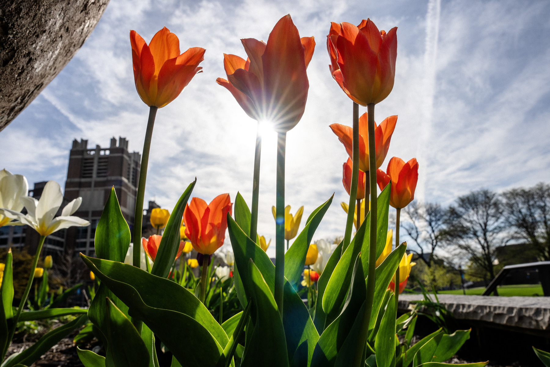 Marquette Campus Spring