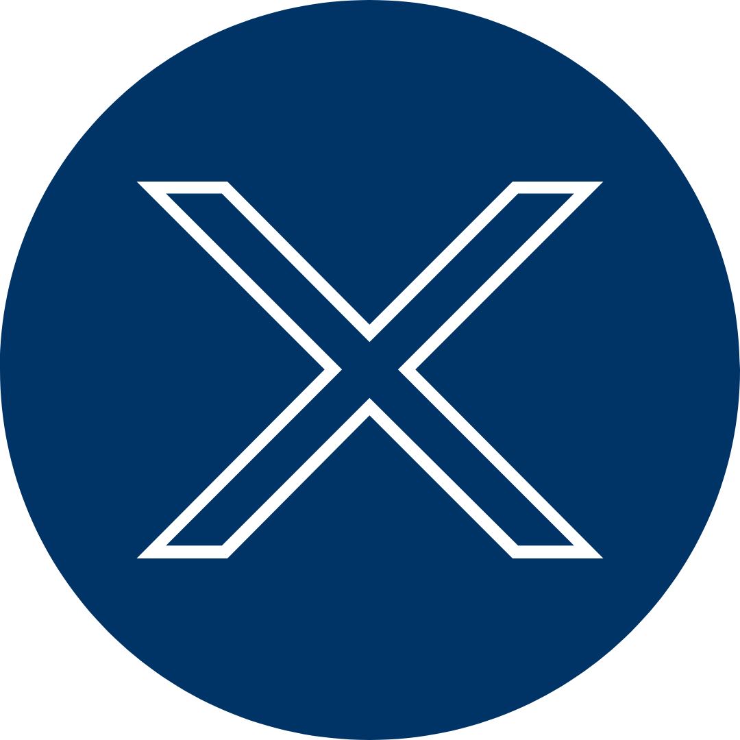 x icon