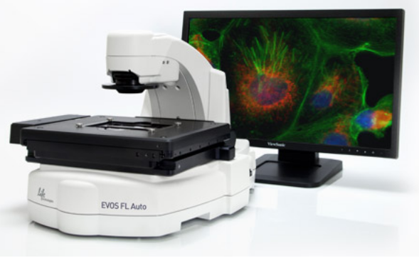 Fluorescent Microscope-EVOS FL-Life Technologies