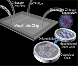 Microfluidic Systems