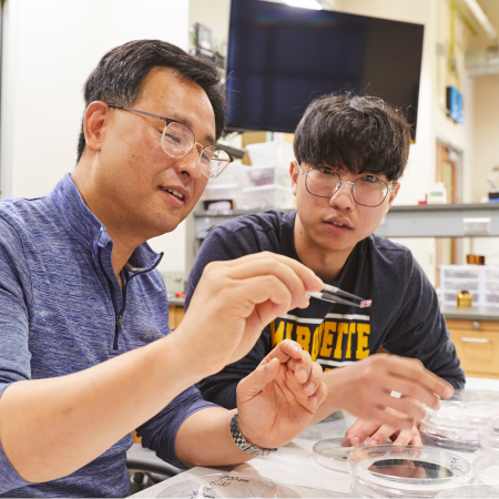 faculty and student analyzing microsensor
