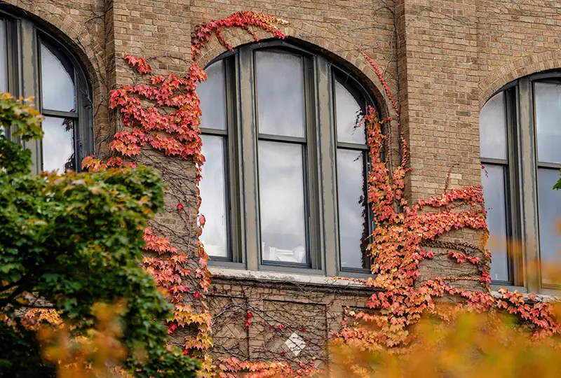 Autumn windows on Marquette Hall