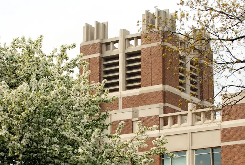 Raynor Library tower