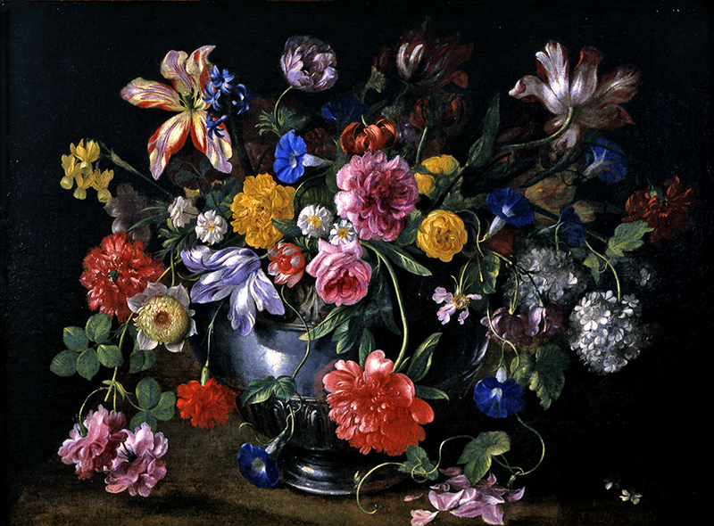 image from the exhibition