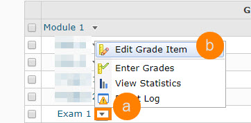 The example shows a pull down beside grade item exam1.