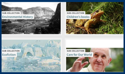 screen capture of collections in the catalog