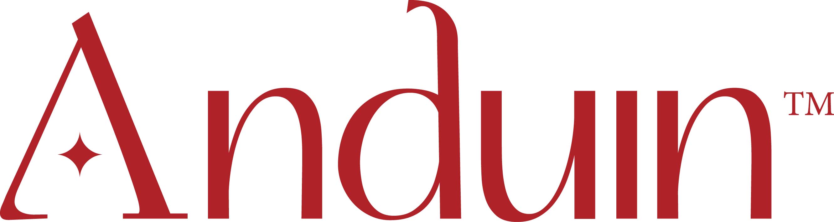 Anduin logo