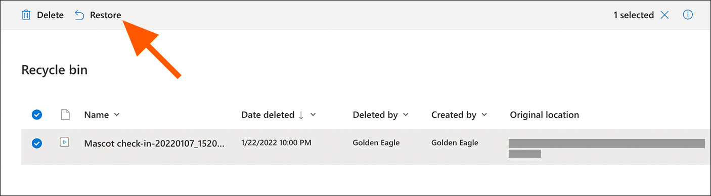 Restore button to move video out of Recycle bin
