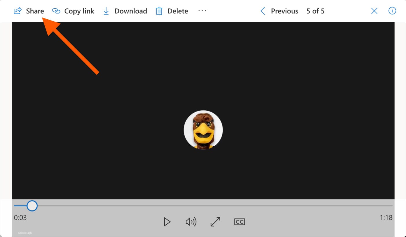 Share icon on video