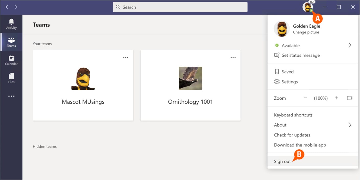 microsoft teams sign in