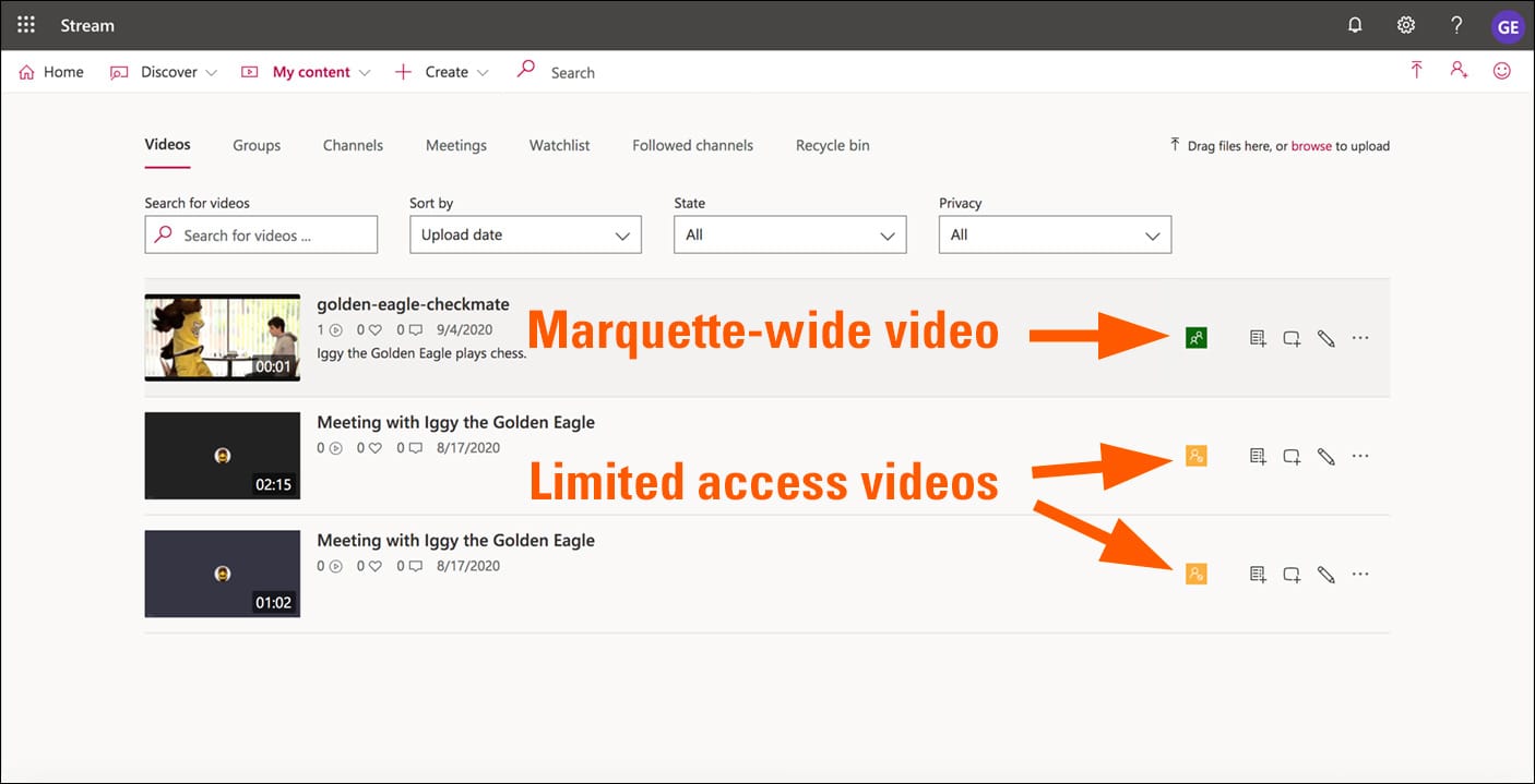 Video access types