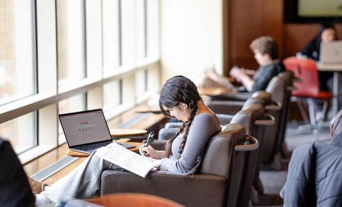 Students working on their laptops
