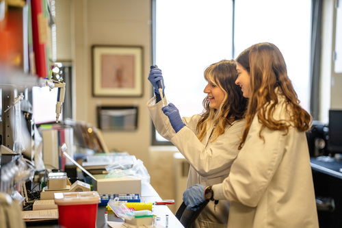 biomedical sciences students learn by doing at marquette
