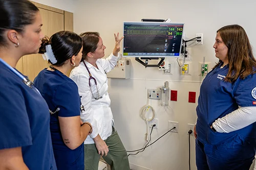 Marquette nursing faculty instructing students